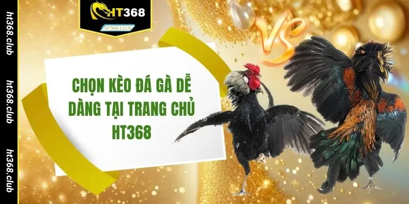Chọn kèo đá gà dễ dàng tại trang chủ HT368