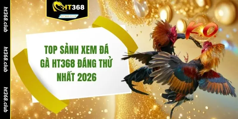 Top sảnh xem đá gà HT368 đáng thử nhất 2026