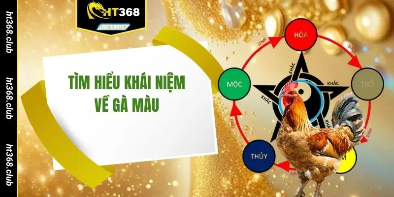 Tìm hiểu khái niệm về gà màu