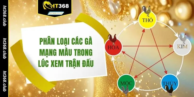 Phân loại các gà mạng màu trong lúc xem trận đấu