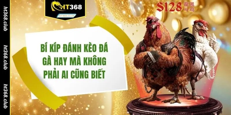 Bí kíp đánh kèo đá gà hay mà không phải ai cũng biết