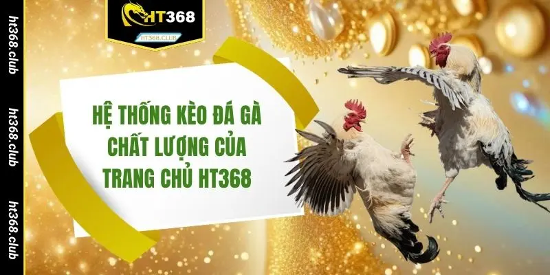 Hệ thống kèo đá gà chất lượng của trang chủ HT368