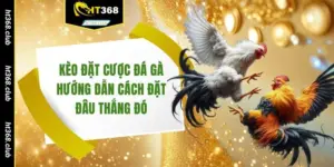 Kèo đặt cược đá gà