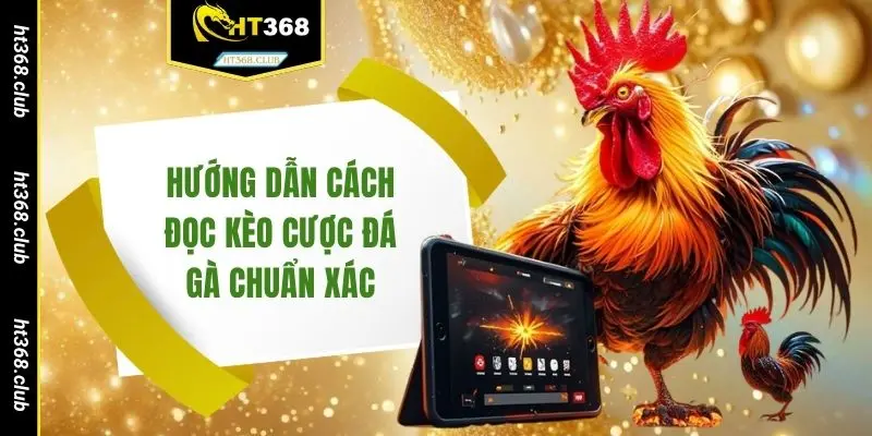 Hướng dẫn cách đọc kèo cược đá gà chuẩn xác