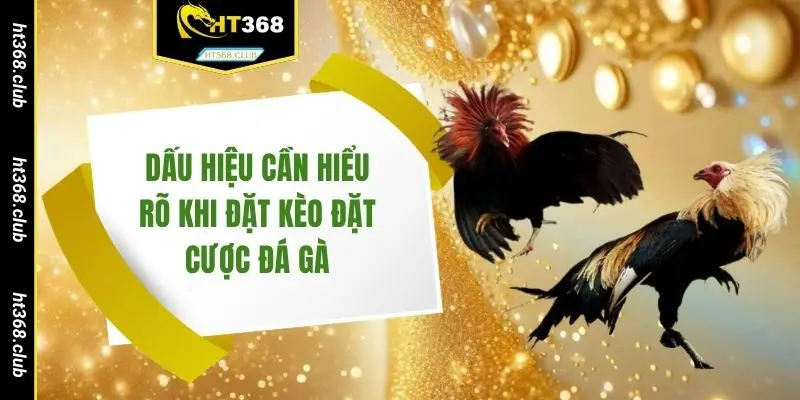 Dấu hiệu cần hiểu rõ khi đặt kèo đặt cược đá gà