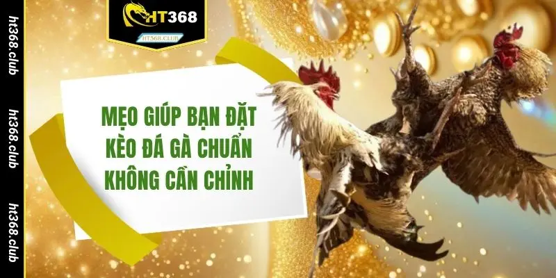 Mẹo giúp bạn đặt kèo đá gà chuẩn không cần chỉnh