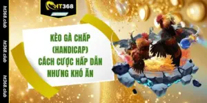 Kèo gà chấp (Handicap)