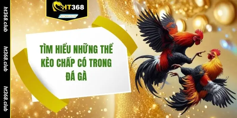 Tìm hiểu những thể kèo chấp có trong đá gà
