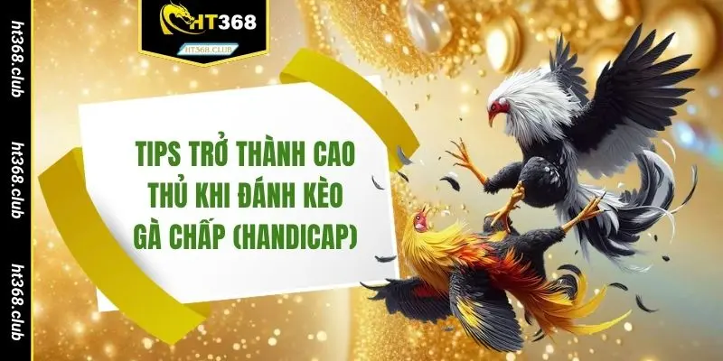 Tips trở thành cao thủ khi đánh kèo gà chấp (Handicap)