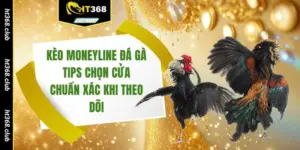 Kèo Moneyline đá gà
