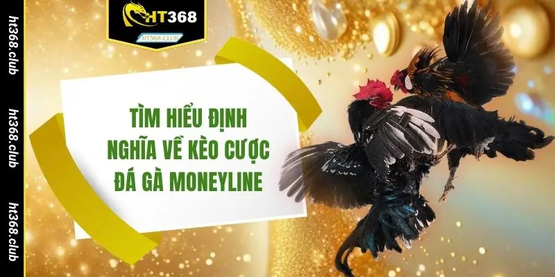 Tìm hiểu định nghĩa về kèo cược đá gà Moneyline
