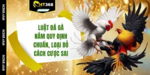 Luật đá gà