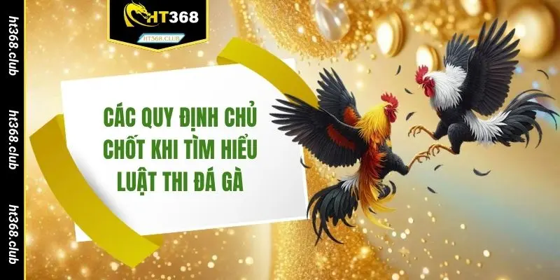 Các quy định chủ chốt khi tìm hiểu luật thi đá gà 