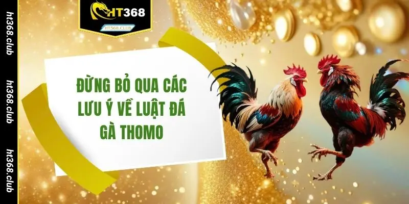 Đừng bỏ qua các lưu ý về luật đá gà Thomo