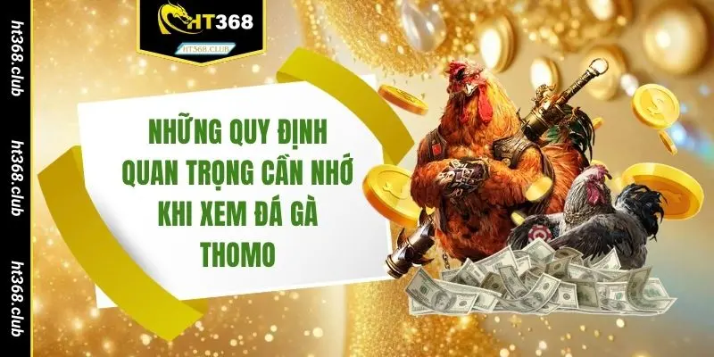 Những quy định quan trọng cần nhớ khi xem đá gà Thomo