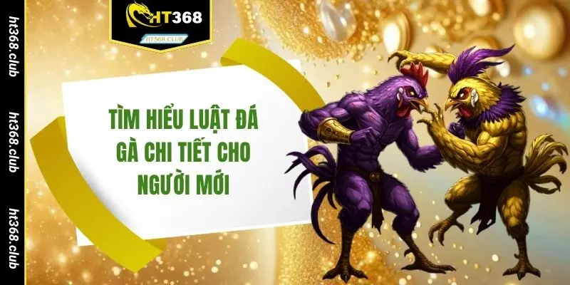 Tìm hiểu luật đá gà chi tiết cho người mới 